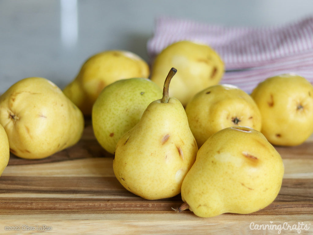 Honey Pear Jam Canning Recipe Uses Ripe Pears with Pomona's Pectin | CanningCrafts.com