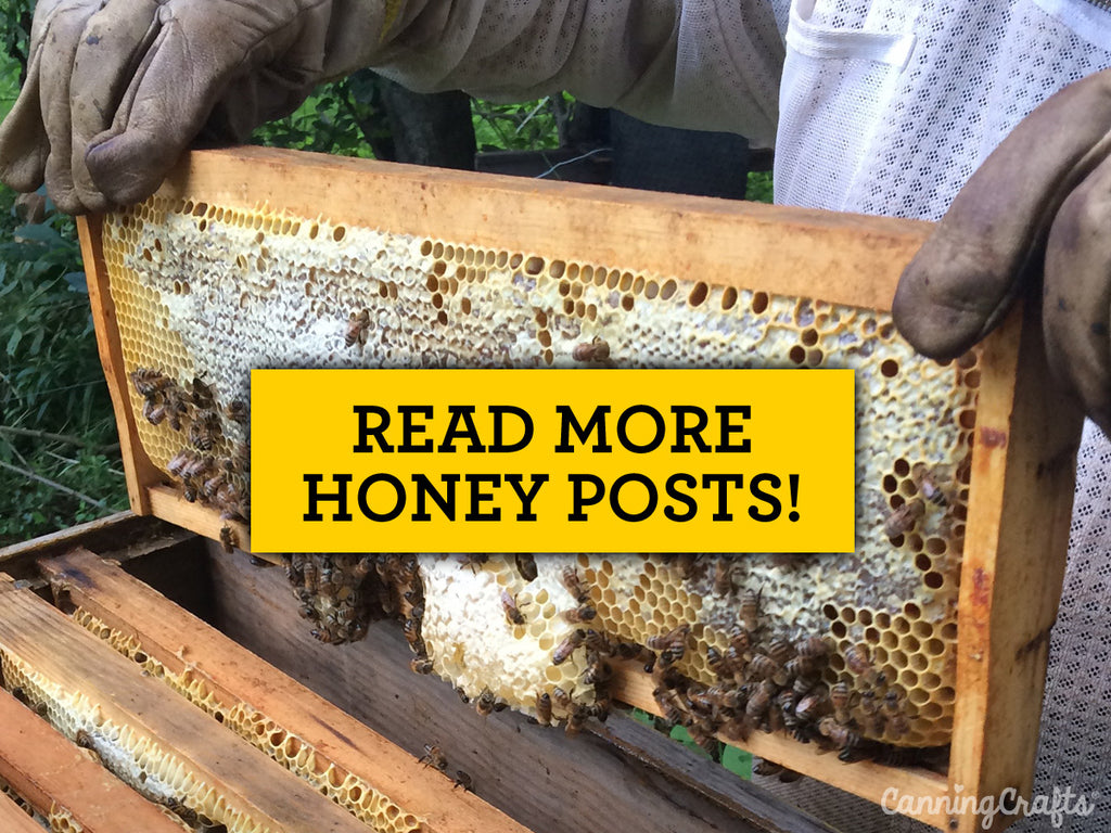 Buzz-worthy Gifts & Useful Tools for Backyard Beekeepers