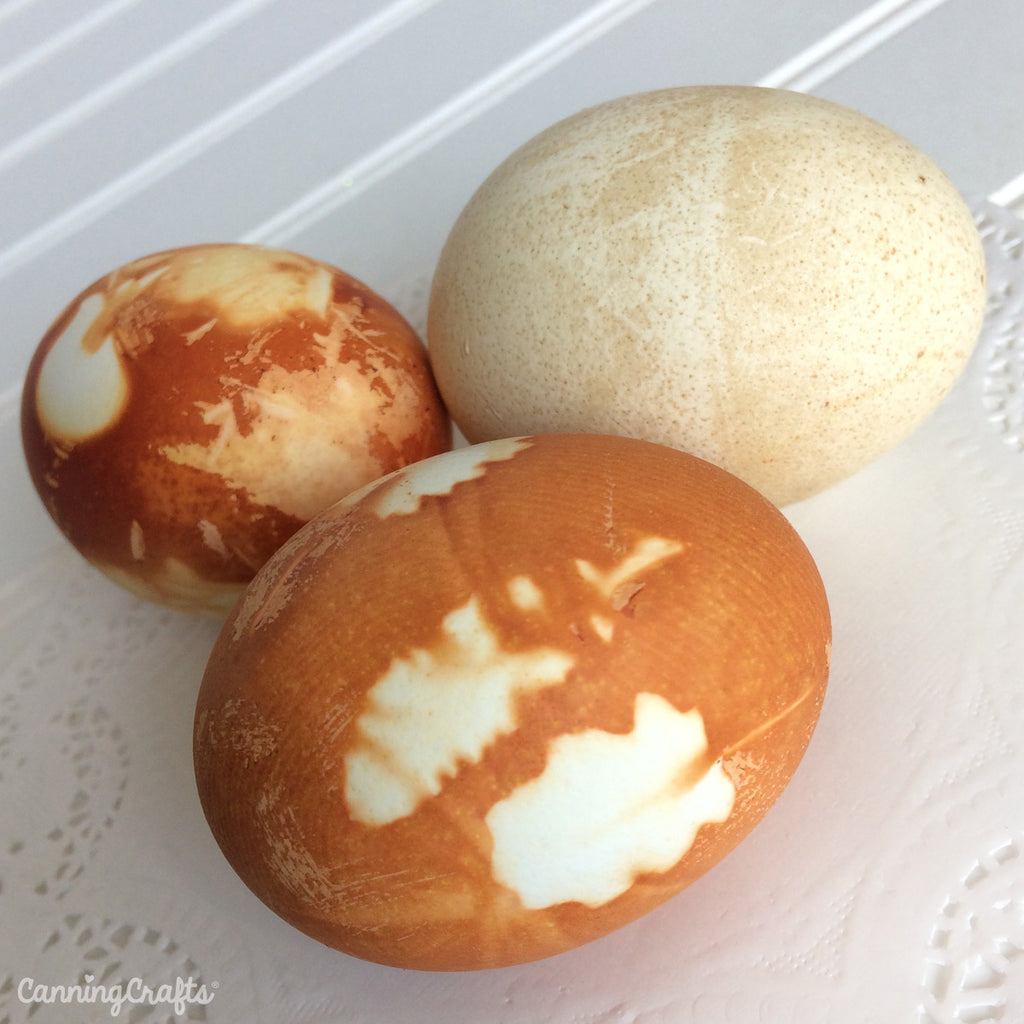 Natural Easter Egg Dyes using onion skins & coffee | CanningCrafts.com