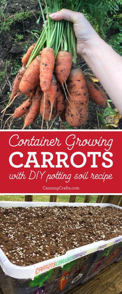 Planting Carrots in Containers with Homemade Potting Soil Recipe | CanningCrafts.com