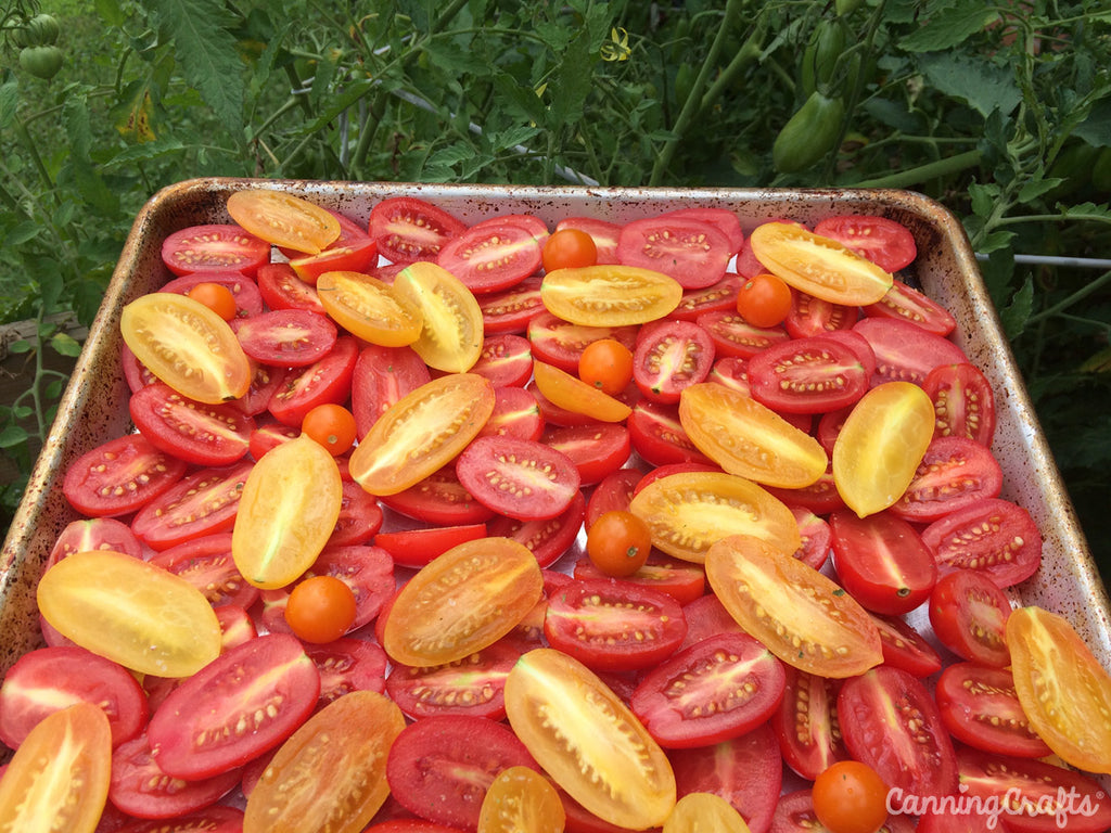 Roasted Blush & Juliet Tomatoes | CanningCrafts.com