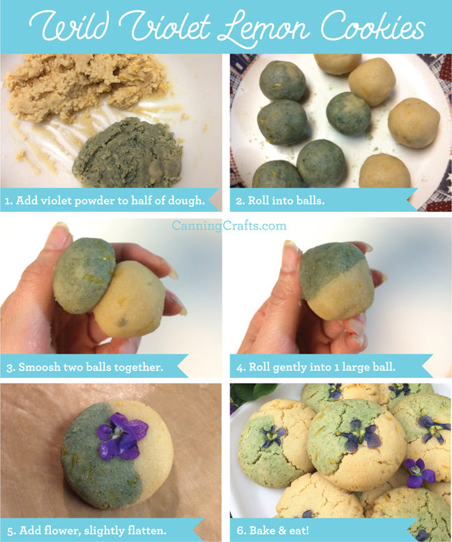 Wild Violet Lemon Cookies Recipe (gluten, dairy, grain-free) | CanningCrafts.com