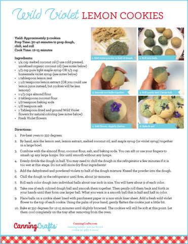 Wild Violet Lemon Cookies Recipe Card (gluten, dairy, grain-free) | CanningCrafts.com