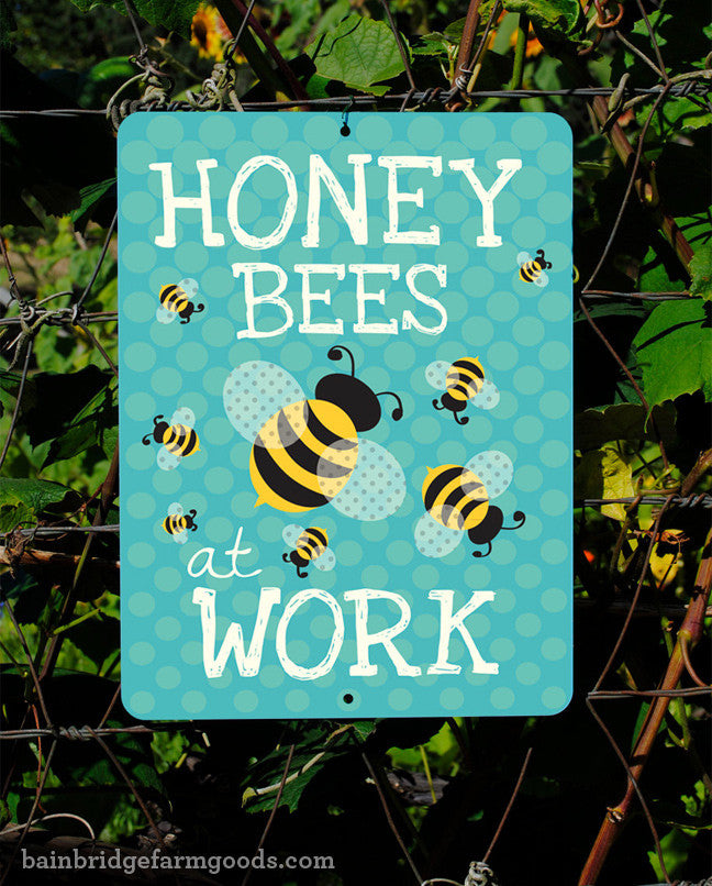 Buzz-worthy Gifts & Useful Tools for Backyard Beekeepers