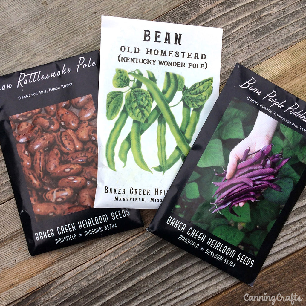 Old Homestead Bean (Kentucky Wonder Pole Bean)