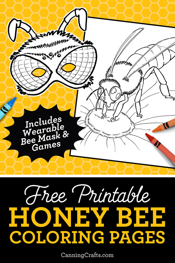 FREE Printable Honey Bee Coloring & Activity Pages | CanningCrafts.com