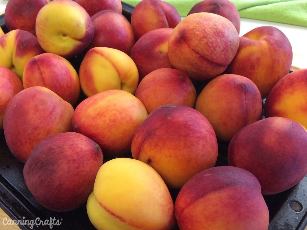 Peaches for Canning | CanningCrafts.com