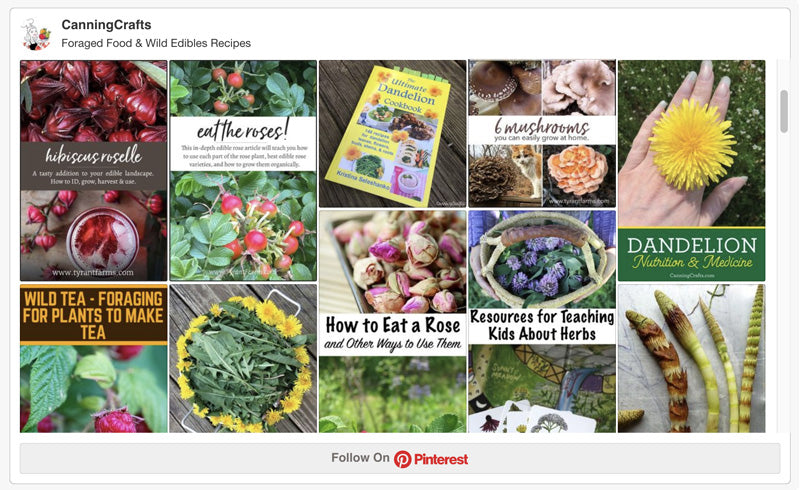 Foraged Food & Wild Edibles Recipes