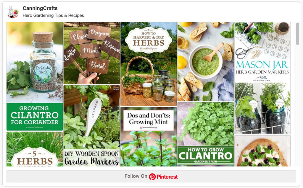 Herb Gardening Tips & Recipes Pinterest Board | CanningCrafts.com