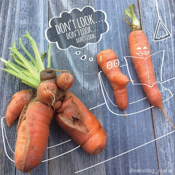  Twisted Carrot Theater | CanningCrafts.com