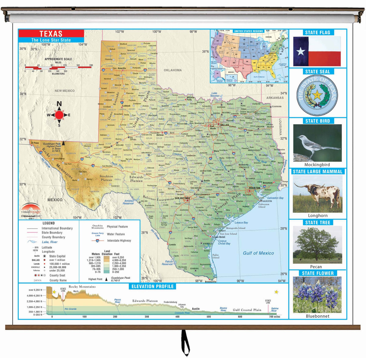 Texas State Primary Thematic Classroom Wall Map