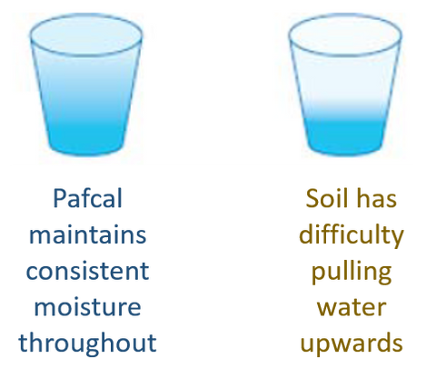 Pafcal vs Soil