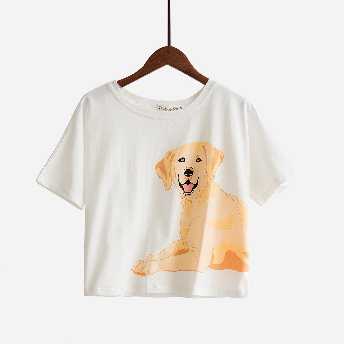 labrador pjs