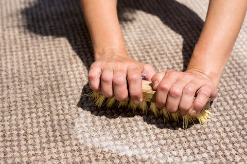 How to Clean Your Carpet By Hand Using a Carpet Brush