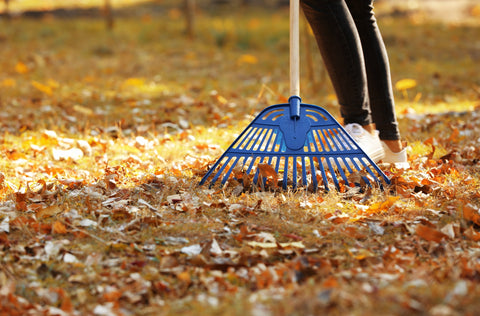 raking leaves in a fall cleaning must do before winter