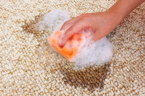 how to keep your carpet clean without using a machine