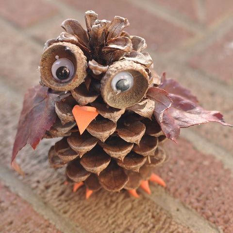 https://cdn.shopify.com/s/files/1/1180/8450/files/pine-cone-owl_large.jpg?12441183323713935774