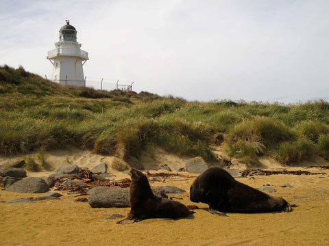 Waipapa Light House