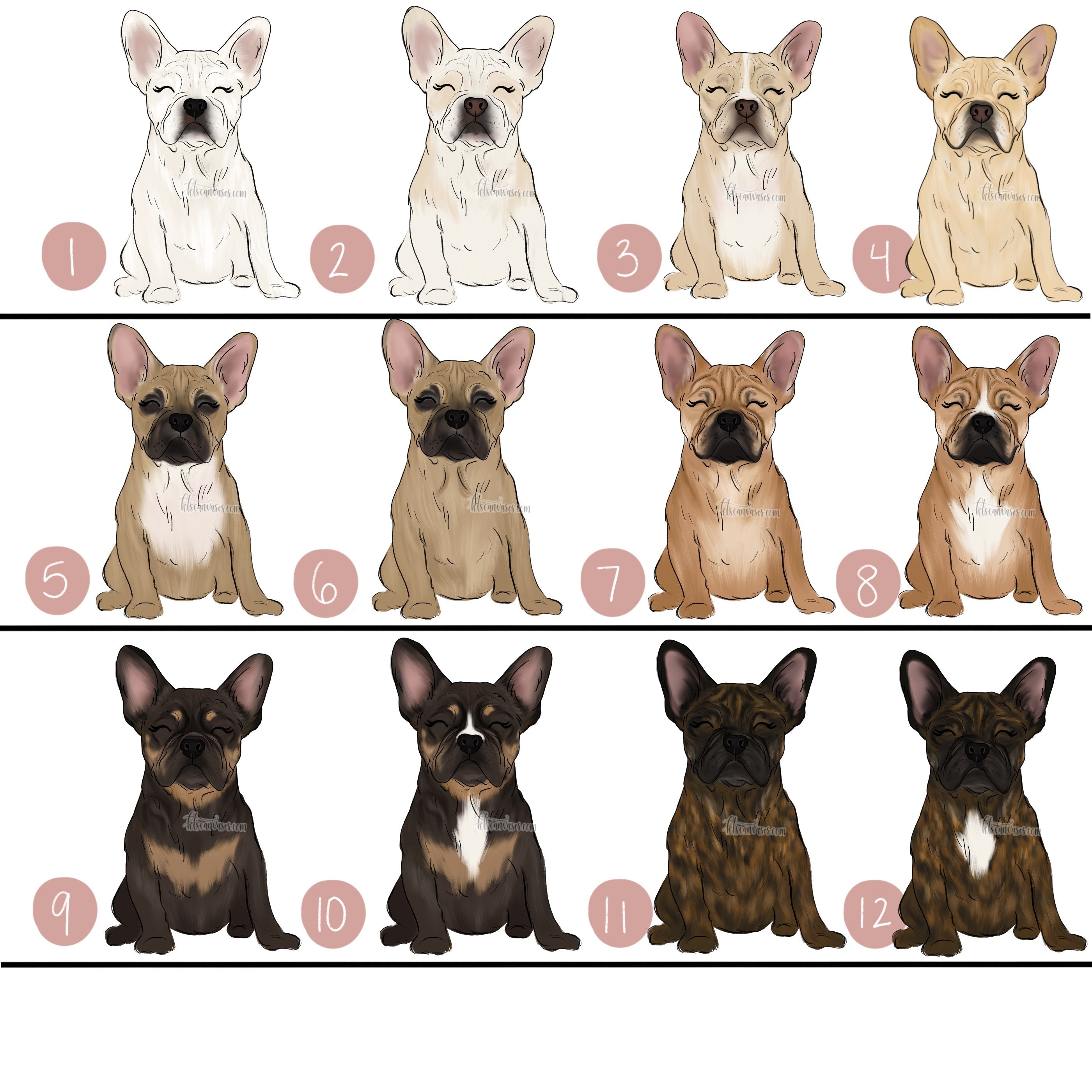 Choose Your FRENCH BULLDOG Art Print – KT's Canvases