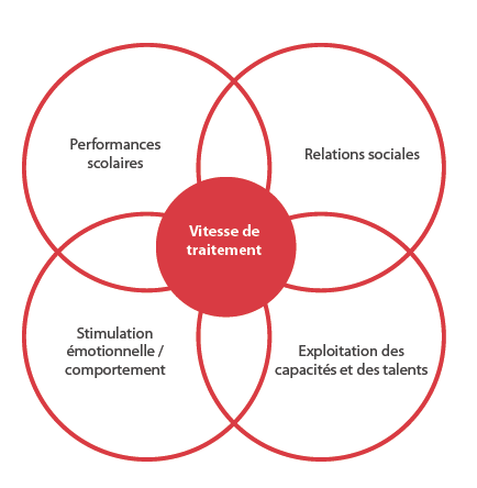 Conséquences d’une vitesse de traitement réduite