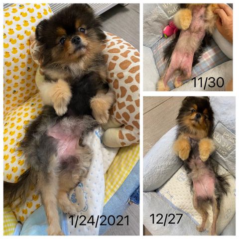 Kelly nov20-jan21