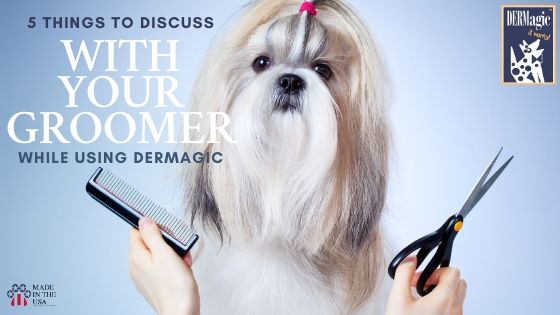 5 things to discuss with your groomer while using DERMagic