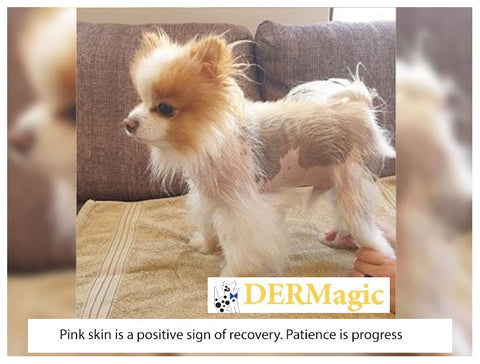 DERMagic Skincare: Pink skin is a positive sign of recovery.