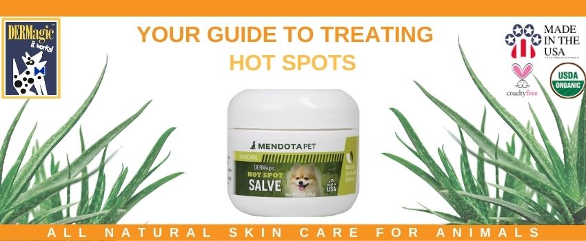 Your Guide to Treating Hot Spots DERMagic