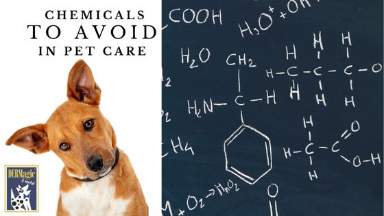 Chemicals to Avoid in Pet Care