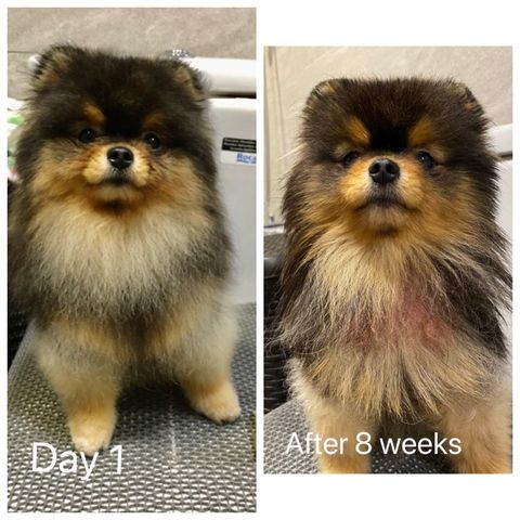 before-after-week 4