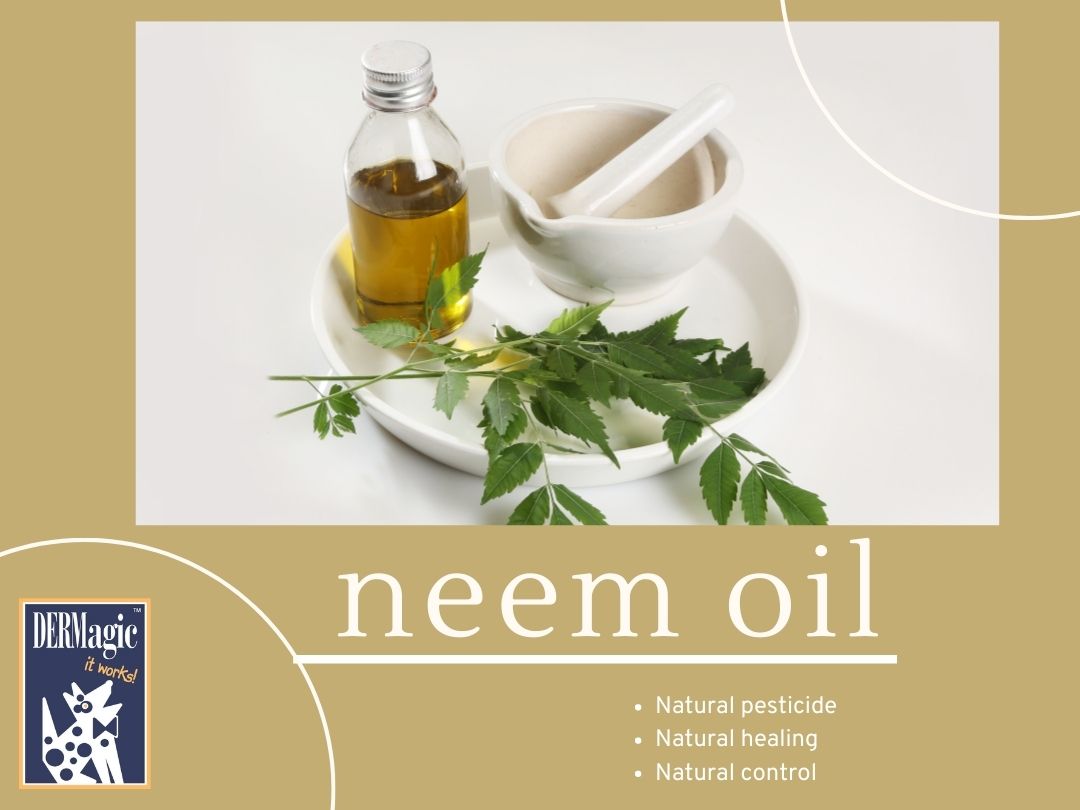 Neem Oil Benefits