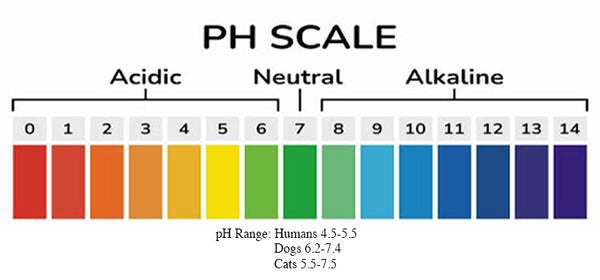 pH Scale Color Graph