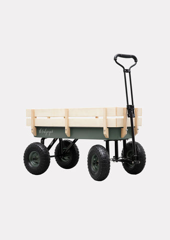 Beach cart wagon