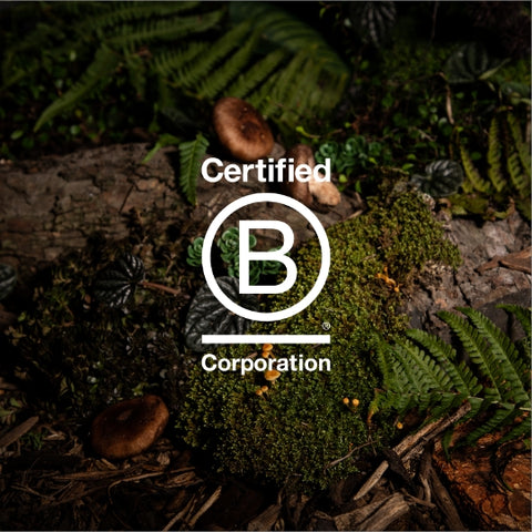 Forest floor with mushrooms, bark and moss with Certified B Corporation logo