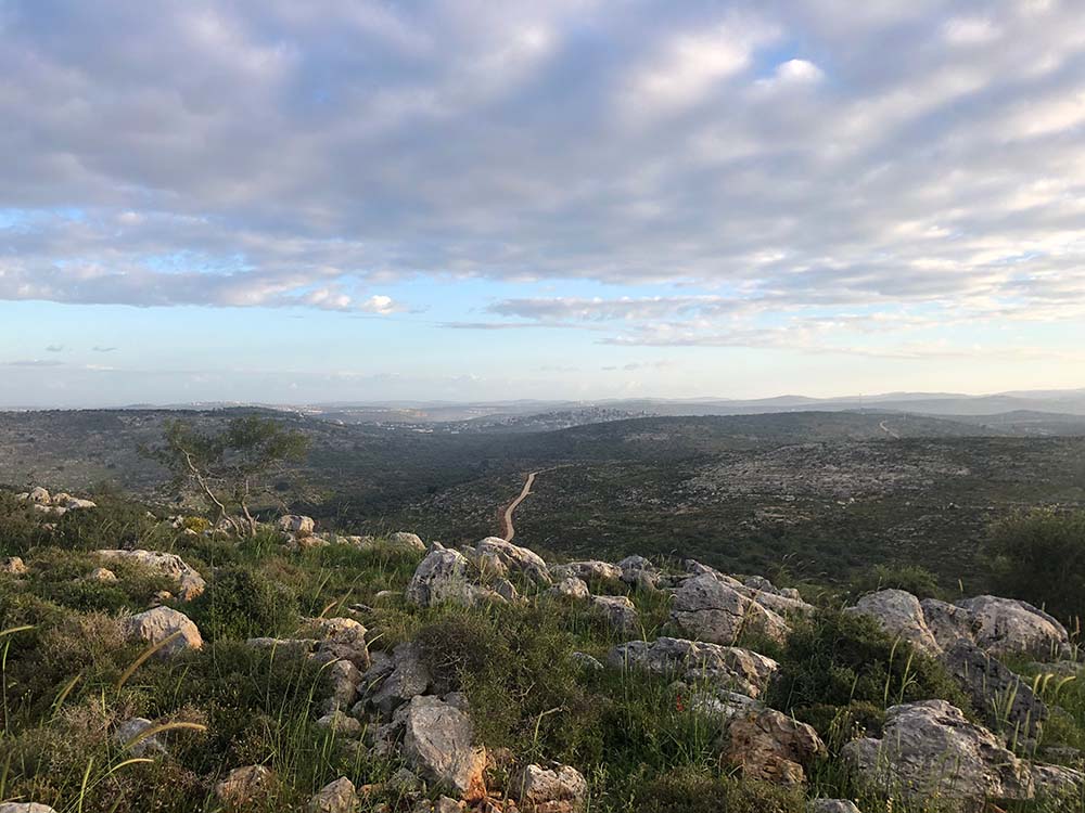 Morning on the Farm near Ariel