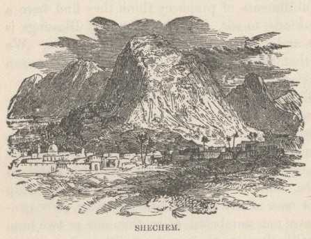 Shechem Innocents Abroad