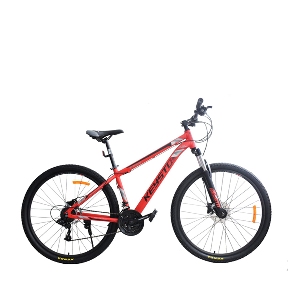 spanker fat bike