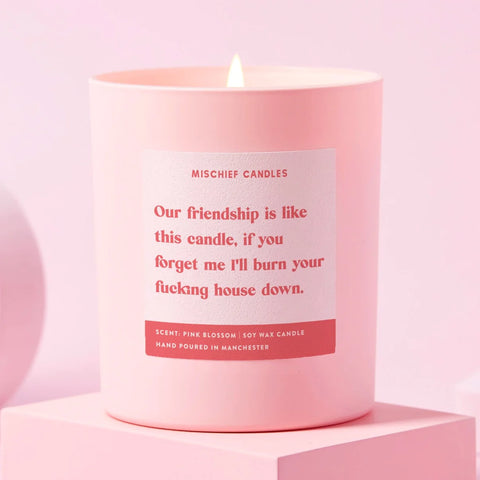 Shop Best Friend Funny Burn House Down Gift For Her Funny Candle