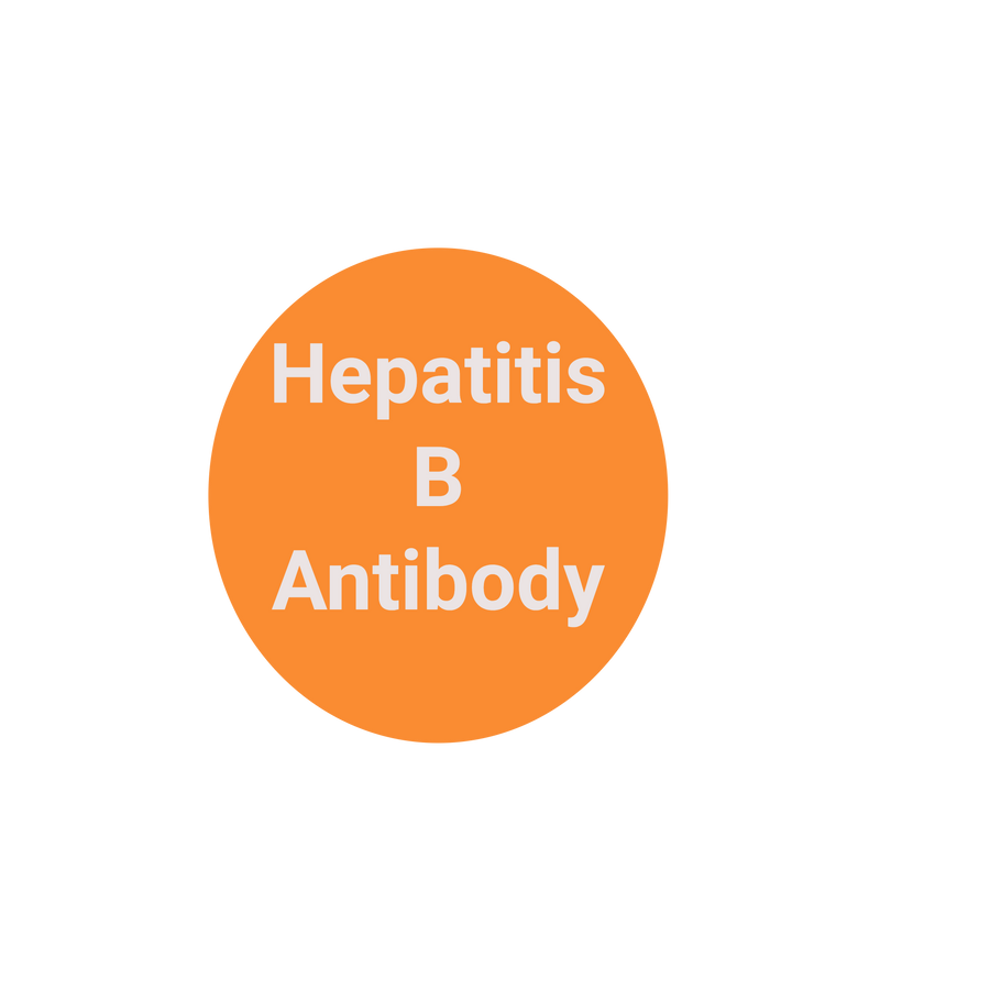 Hep B Reference Range