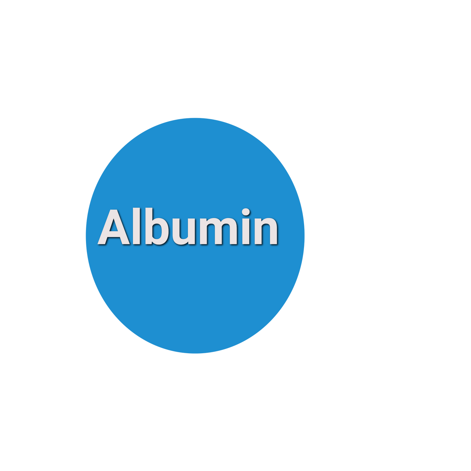 albumin-labreqs