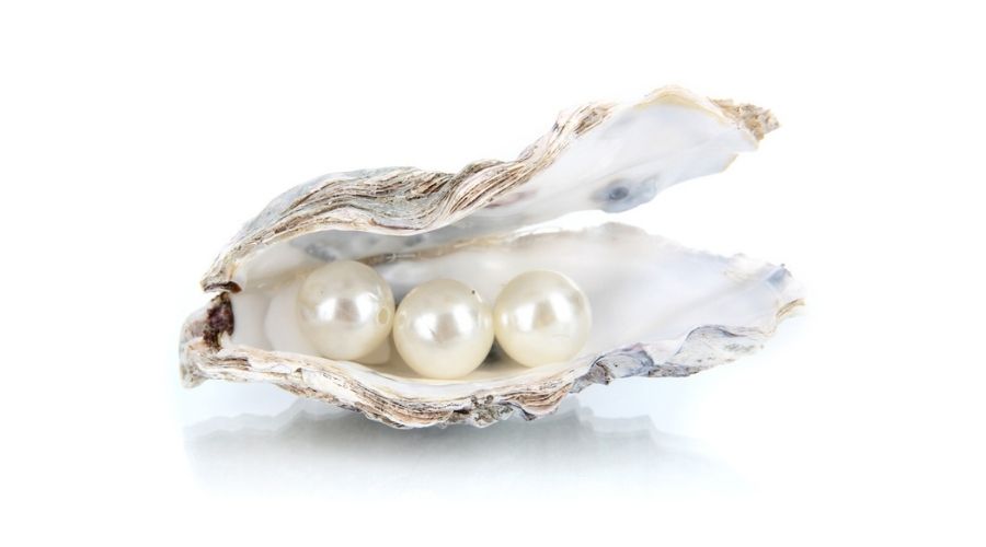 Pearls in oyster shell 