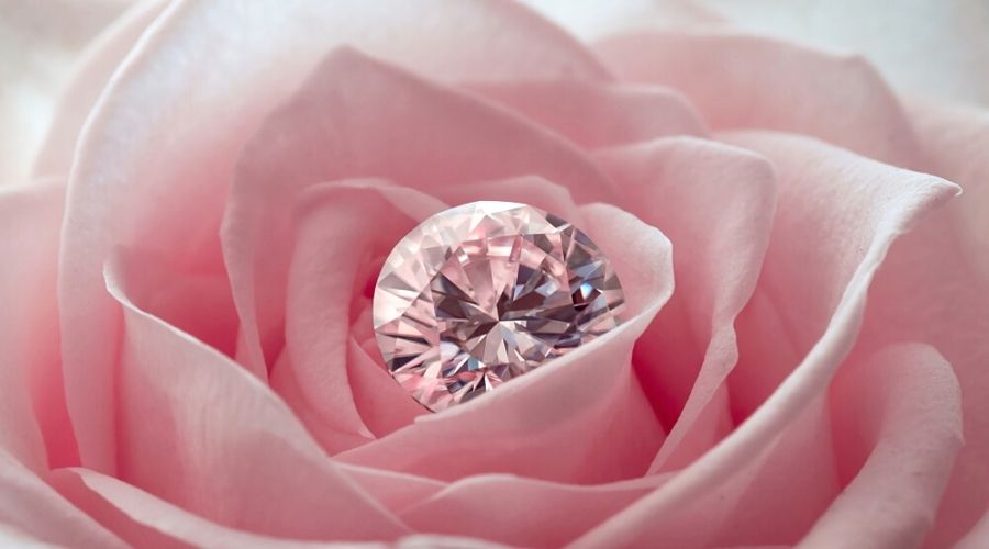 A faceted pink diamond in the middle of a rose