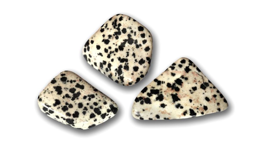 dalmatian jasper isolated on white background