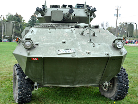 Reference Walkaround AVGP Cougar