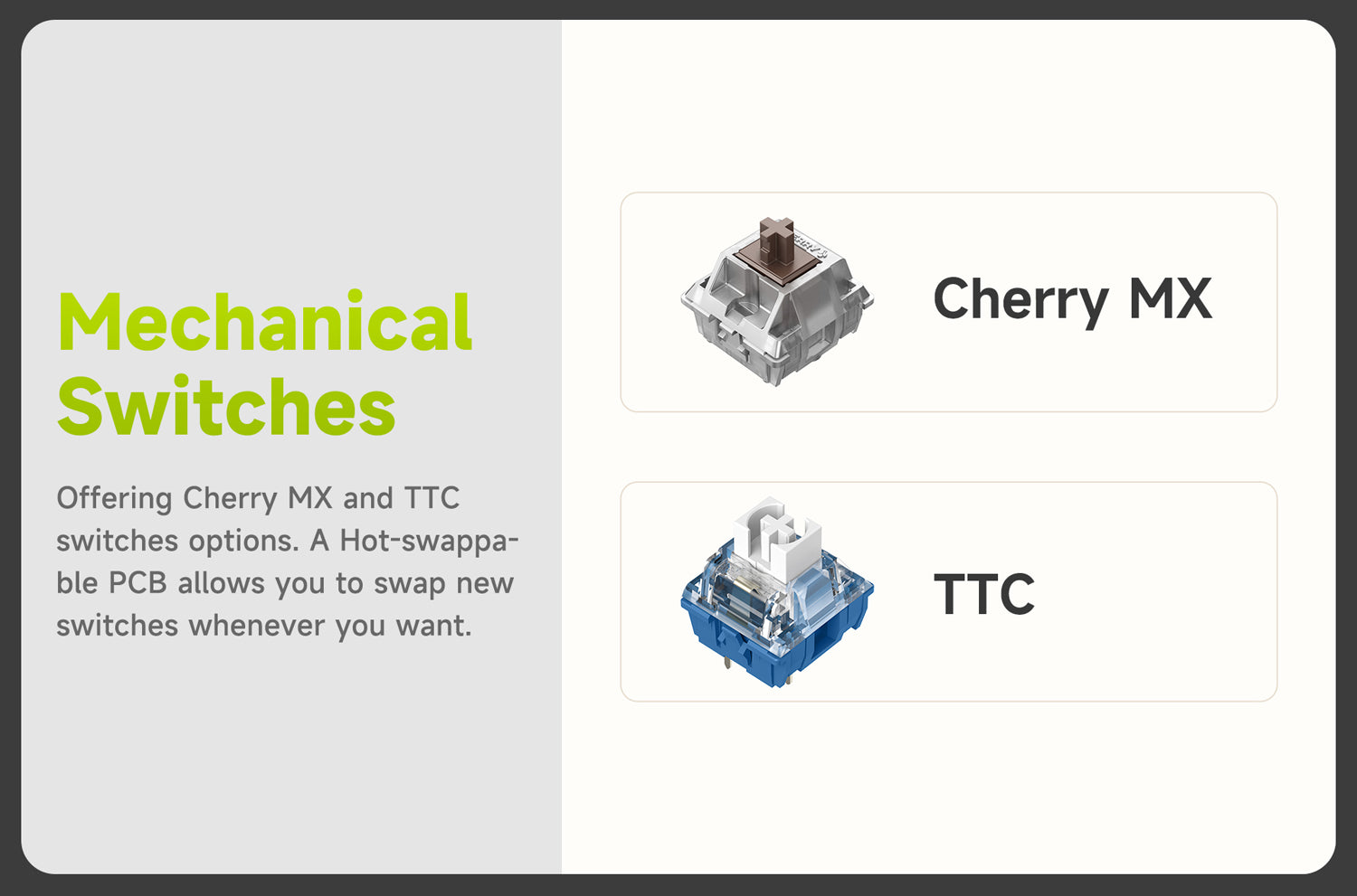 Cherry And TTC Mechanical Switch Keyboard