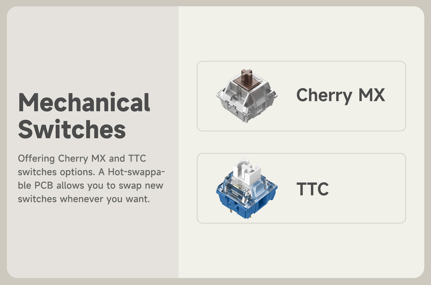 Bàn phím chuyển mạch cơ Cherry và TTC