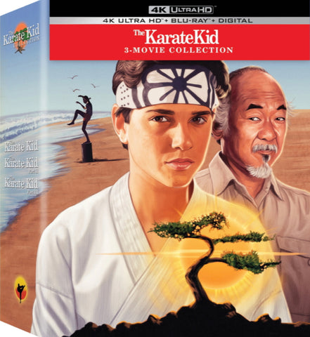 the karate kid full movie in english hd