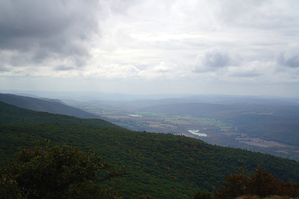 Alander Mountain Trail via South Taconic Trail