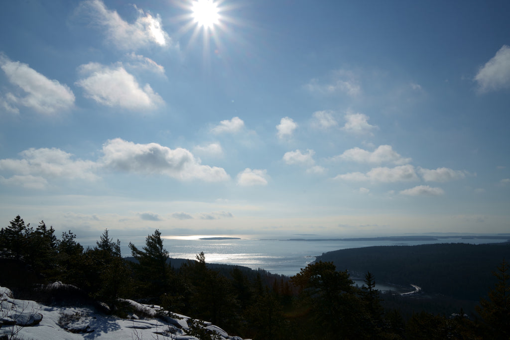 Gorham Mountain Acadia National Park