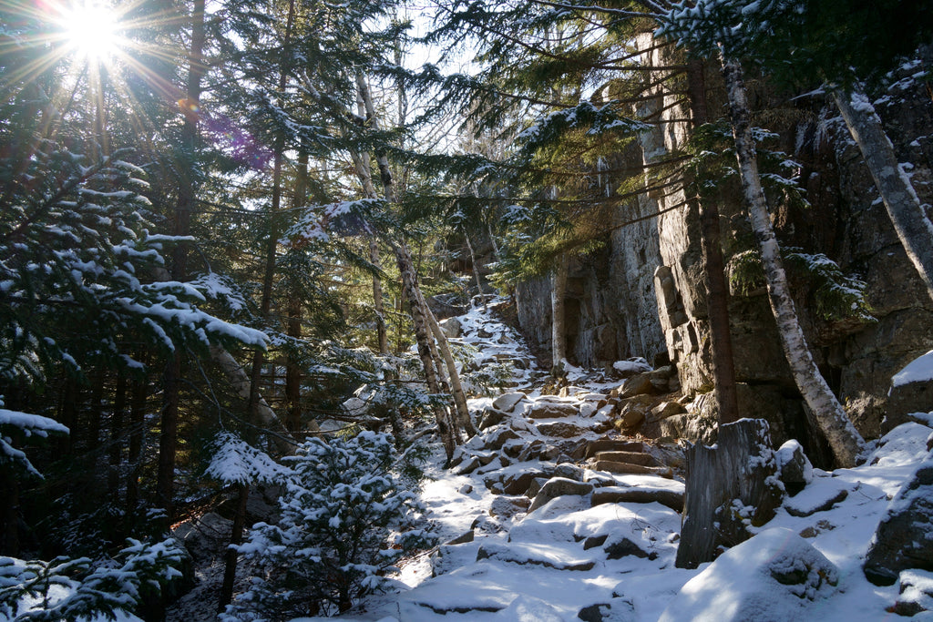 Gorham Mountain Acadia National Park